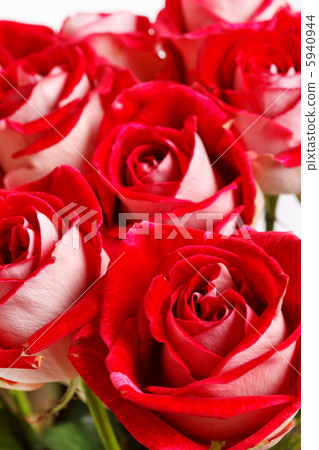 Beautiful flowers Beautiful flowers 5940944