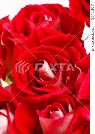 Beautiful flowers Beautiful flowers 5941367