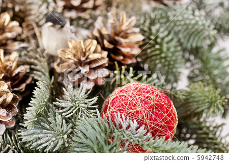christmas tree christmas tree 5942748