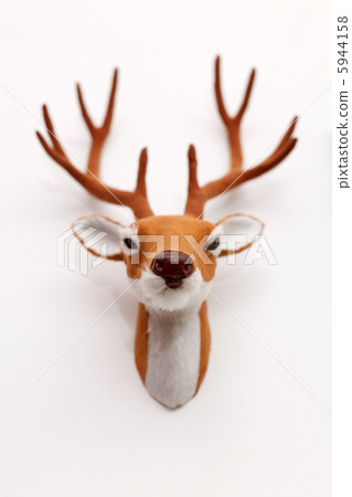 deer on the wall deer on the wall 5944158