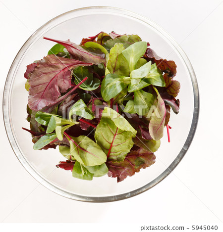 fresh salad 5945040
