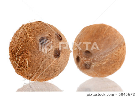fresh coconuts fresh coconuts 5945678