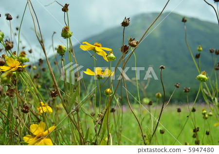 Summer mountain Summer mountain 5947480
