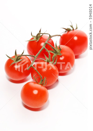fresh tomatoes fresh tomatoes 5948014