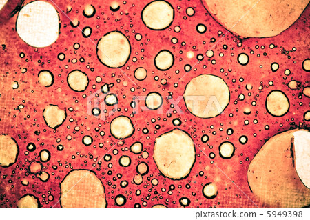 Cancer Cells 5949398