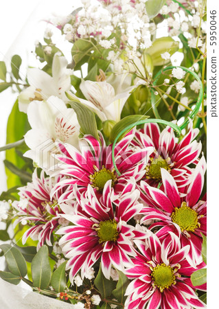 bouquet of colorful flowers 5950046