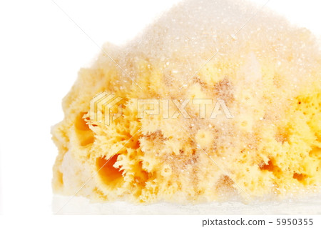 Natural sponge with foam Natural sponge with foam 5950355