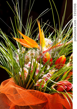beautiful bouquet 5950498