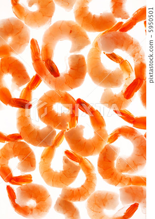 shrimps on the white shrimps on the white 5950501