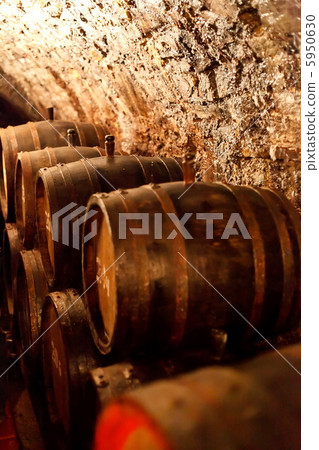 old wine cellar with barrels old wine cellar with barrels 5950630