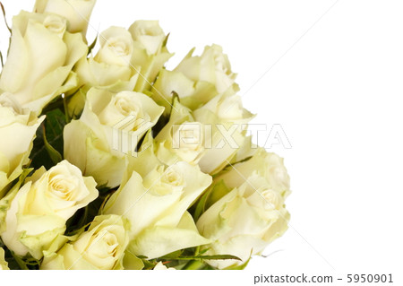 beautiful roses beautiful roses 5950901