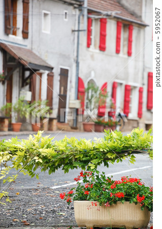 street with flowers street with flowers 5952067