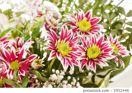 bouquet of colorful flowers 5952446