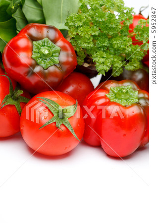 fresh vegetables fresh vegetables 5952847