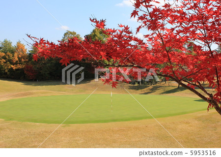 Autumn leaves of a golf course 5953516