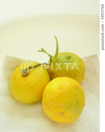 Winter solstice image 5953768