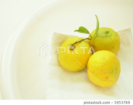 冬至圖像 5953769