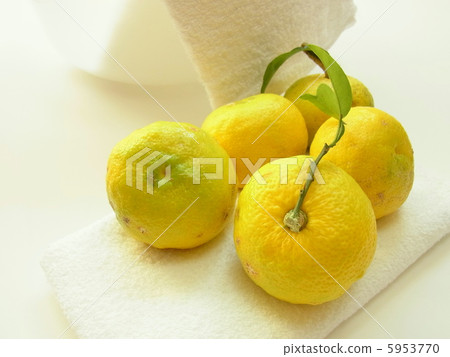 冬至圖像 冬至圖像 5953770