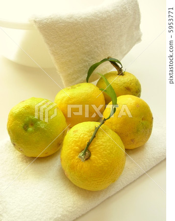 冬至圖像 5953771