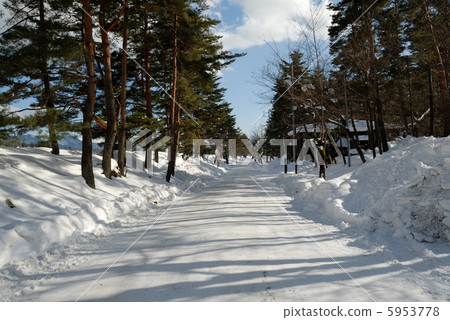 Snow-covered road Snow-covered road 5953778