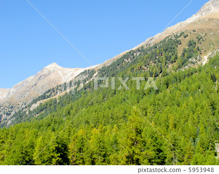 Blue sky and nature: Swiss landscape (Europe) 5953948