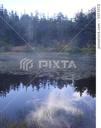 Asamoya漂流獅子池塘 5953978