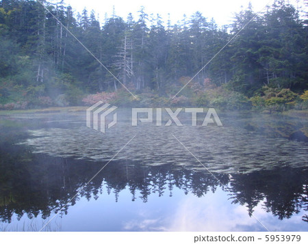 Morning morning drift lion pond 5953979