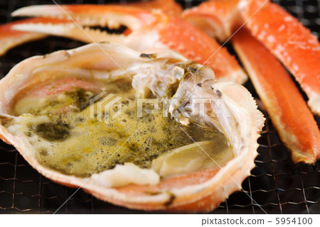 crab  5954100