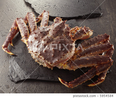 Casually Casually 5954584