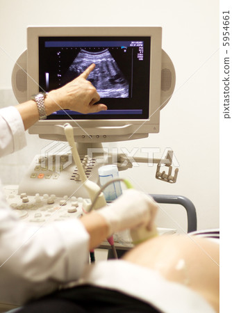 medical examining by ultrasonic scan medical examining by ultrasonic scan 5954661