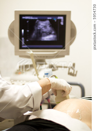medical examining by ultrasonic scan medical examining by ultrasonic scan 5954730