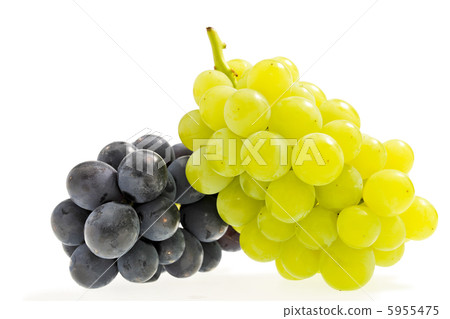 Grape Grape 5955475