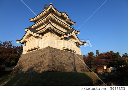 Oshiro 5955853
