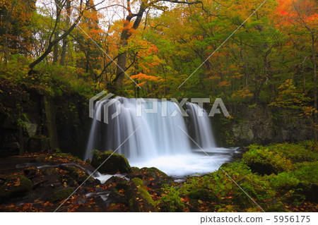 Ch子瀑布和秋葉 5956175