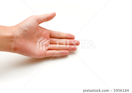 手 5956184