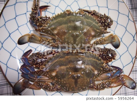 Set crab crab <two close-ups) 5956264