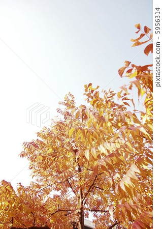 Brightly colored schoolyard cutlery tree 5956314