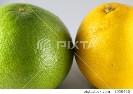 Sweetie that matches 5956460