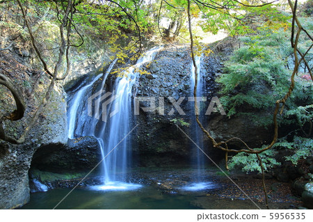 Falls of the monthly wait - in Daigo Falls of the monthly wait - in Daigo 5956535