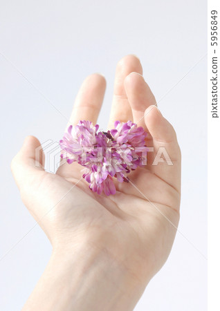 Beauty Image - hand with a wallet Beauty Image - hand with a wallet 5956849