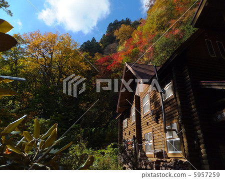 Autumn leaves from Shikigatsu Kiyotaki cabin 5957259