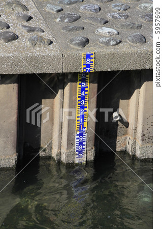 Water gauge 5957699