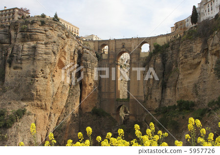Nuevo Bridge and Rape Blossom Nuevo Bridge and Rape Blossom 5957726