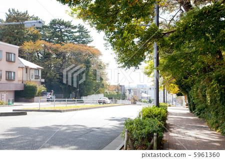 Meguro-dori near the iso force 5961360