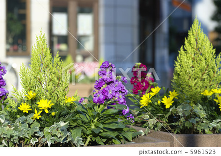 Shiodome Italian street planters 5961523