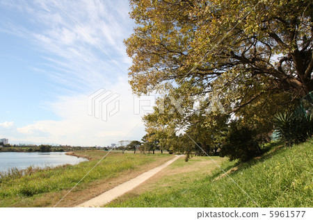 在大田區4丁目Denenchofu附近的多摩川銀行 5961577