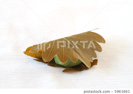 Kashiwamochi Kashiwamochi 5961661