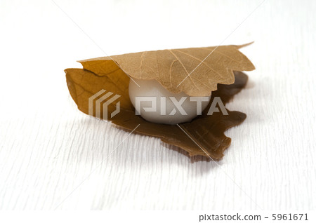 Kashiwamochi 5961671