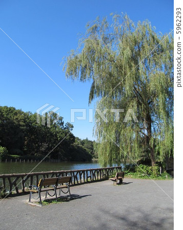 Zenfukuji公園 5962293