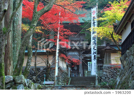 Yokono Yokonoji temple gate 5963200